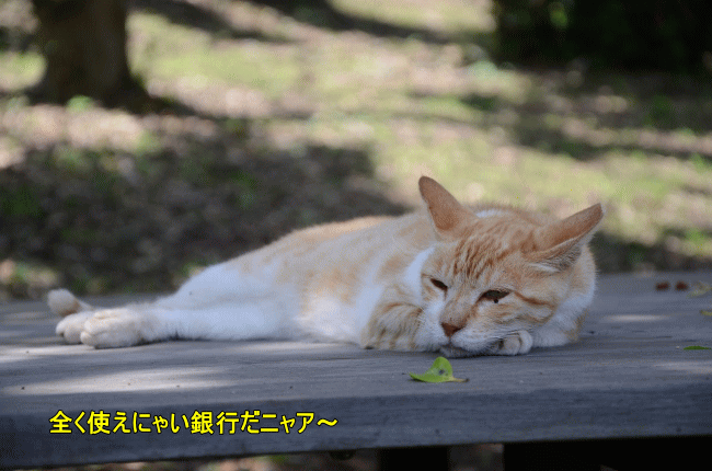 東邦銀行の定期預金